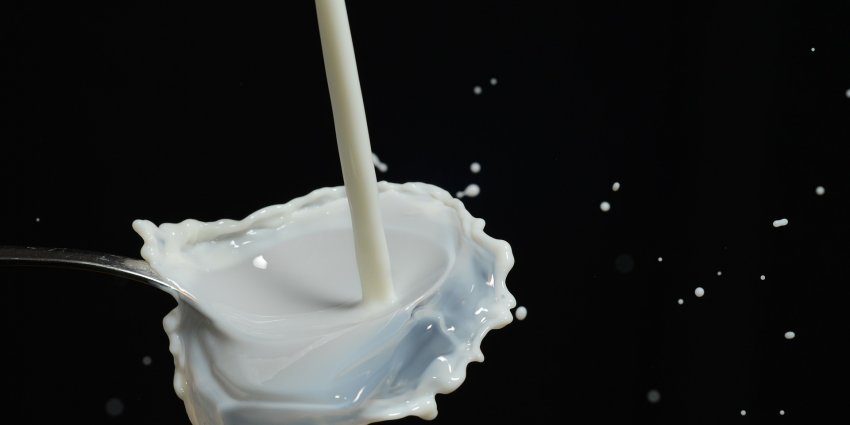 Milk_image_food_labelling_services